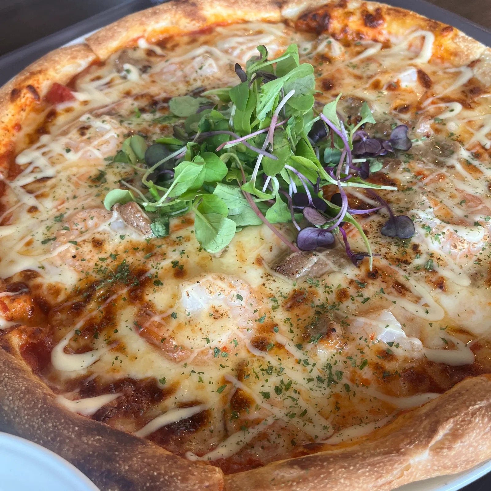 애견 카페 맛집 피자가 맛잇음 빵은 별로엿음